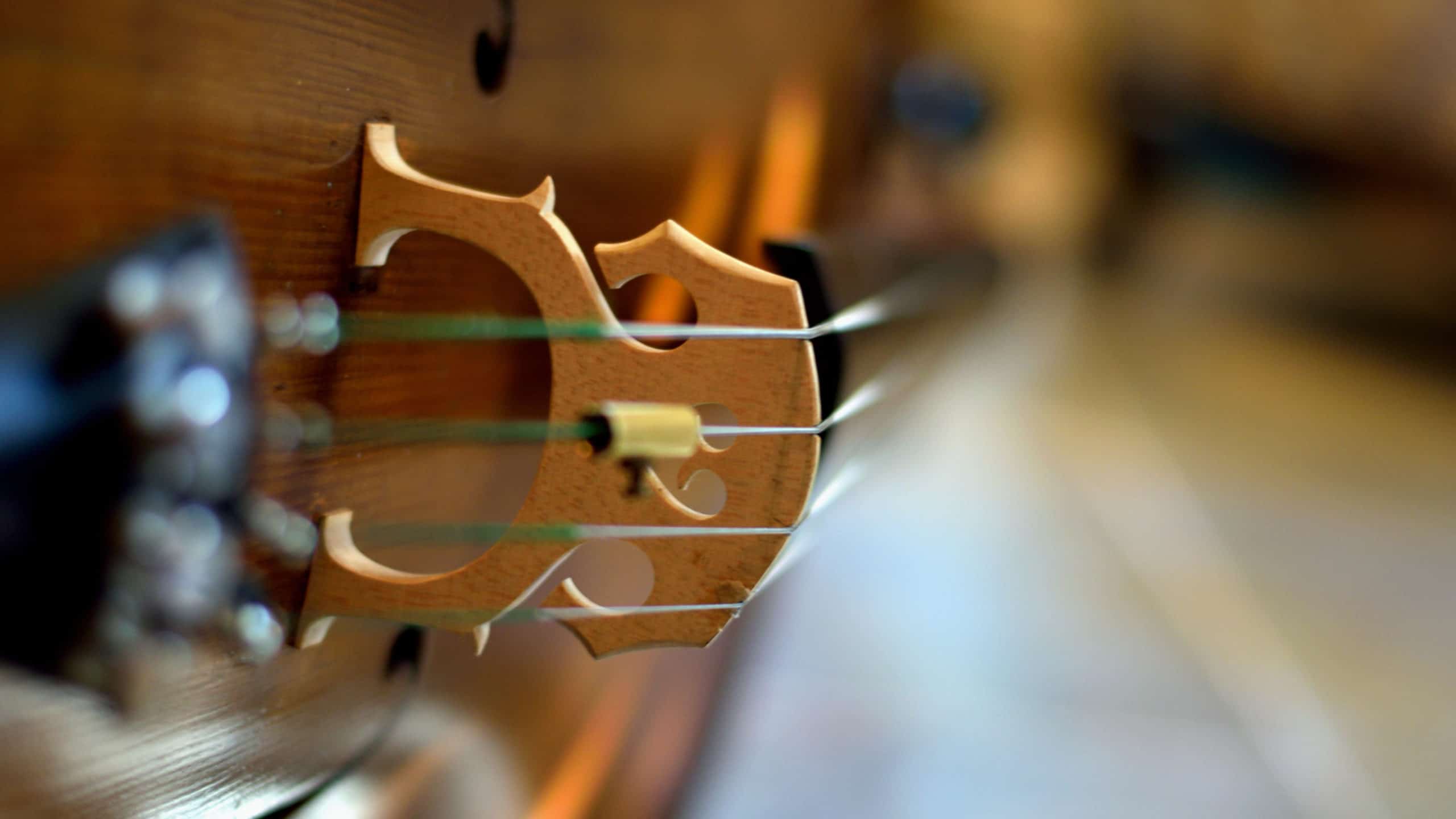 Cello-flickr-cc-by-J-Dimas-H-scaled_20001